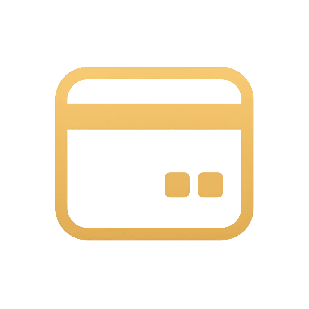 Visa payment icon